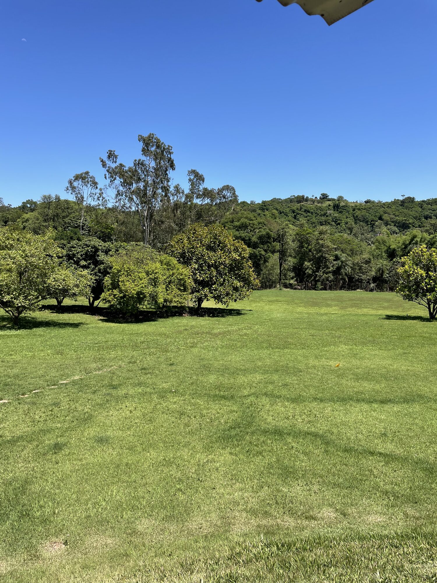 Ampla área verde
