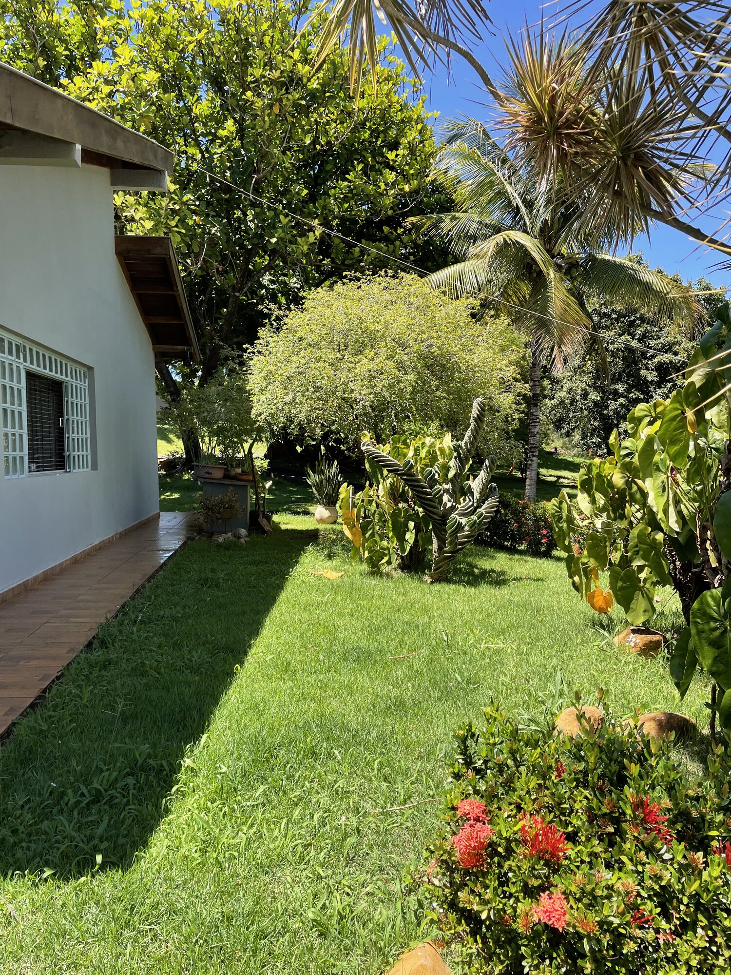 Jardim florido